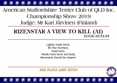 Rizenstar A View To Kill.png